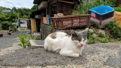 浄瑠璃寺の動物