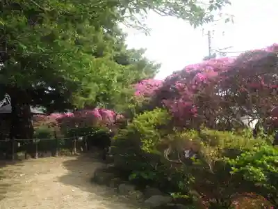 安養院　(田代寺）のその他建物
