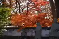 来迎寺(山口県)