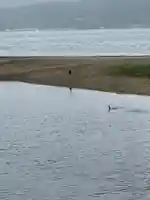 なかよし地蔵(兵庫県)