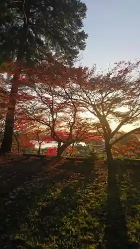 胡宮神社（敏満寺史跡）の自然