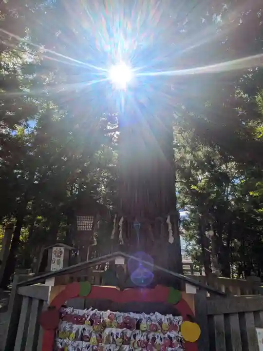 諏訪大社下社秋宮(長野県)