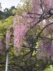 大生郷天満宮(茨城県)