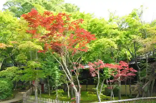 本土寺(千葉県)