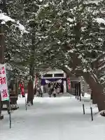 北広島市総鎮守 廣島神社の{uncategorized: "未分類", other: "その他", undefined: "問題あり", building: "その他建物", grave: "お墓", sacred_gate: "鳥居", guardian: "狛犬", statue: "像", buddha: "仏像", history: "歴史", nature: "自然", garden: "庭園", animal: "動物", pagoda: "塔", temizu: "手水舎", mountain_gate: "山門・神門", sanctuary: "本殿・本堂", subordinate: "末社・摂社", art: "芸術", scenery: "景色", jizo: "地蔵", ema: "絵馬", goshuin: "御朱印", omikuji: "おみくじ", items: "授与品その他", amulet: "お守り", goshuincho: "御朱印帳", eats: "食事", festival: "お祭り", votive_dance: "神楽", shichigosan: "七五三参", wedding: "結婚式", experience: "体験その他", initially: "初詣", around: "周辺", anti_infection: "感染症対策"}