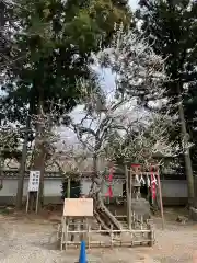 弘道館鹿島神社(茨城県)