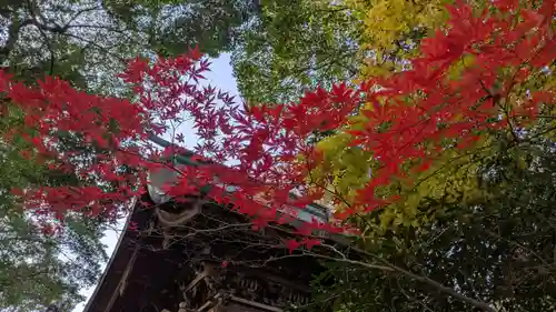 彌伽宜神社(京都府)