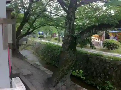 慈照寺(慈照禅寺・銀閣寺)の周辺