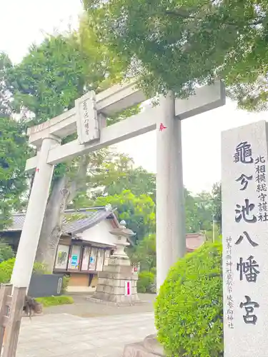 亀ケ池八幡宮の鳥居