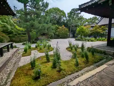 廬山寺(廬山天台講寺)(京都府)