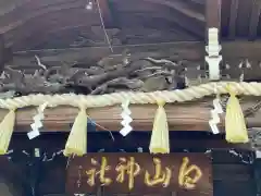 白山神社(東京都)