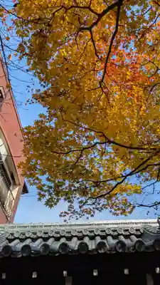 墨染寺(桜寺)(京都府)