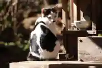 玉野御嶽神社(愛知県)