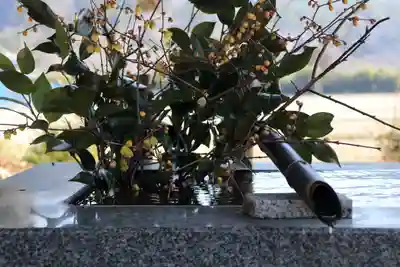 高司神社〜むすびの神の鎮まる社〜の手水舎