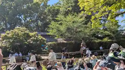 賀茂別雷神社(上賀茂神社)(京都府)