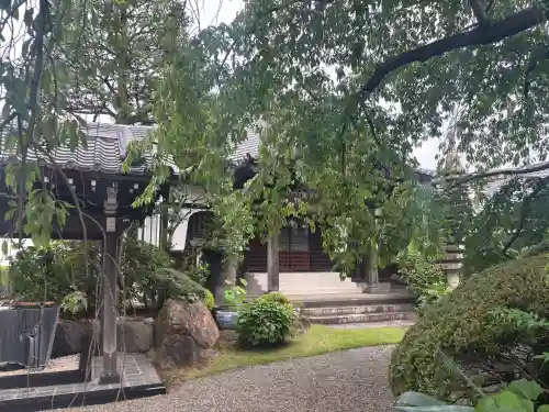 観乗寺(東京都)