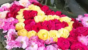 鳩ヶ谷氷川神社の手水舎(2022年05月14日(土) 16時50分02秒投稿)