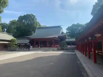 藤崎八旛宮(熊本県)