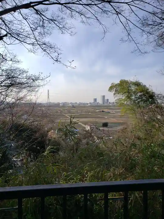 矢切神社の景色