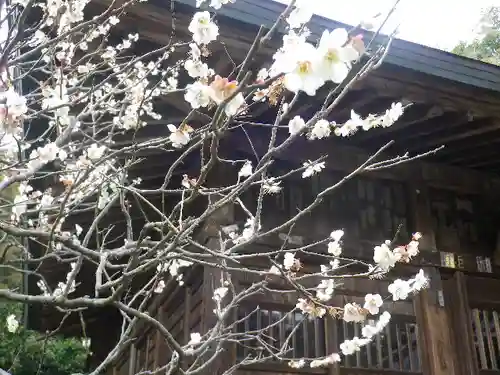 浄光明寺の自然