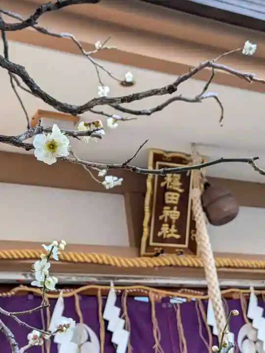 穏田神社(東京都)