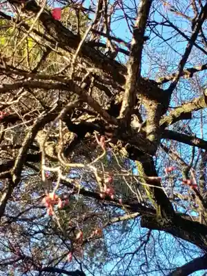 田端神社(東京都)