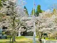 土津神社|こどもと出世の神さま(福島県)