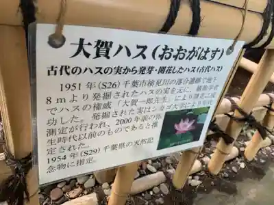 成田山深川不動堂（新勝寺東京別院）のその他建物