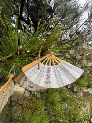 智恩寺(京都府)