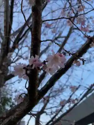 靍護稲荷神社(東京都)