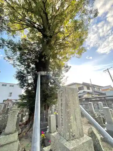 法因寺(三重県)