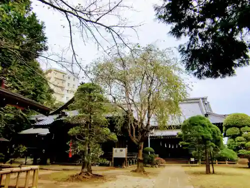 成顕寺のその他建物