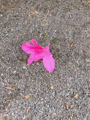 實相山　正法院(静岡県)