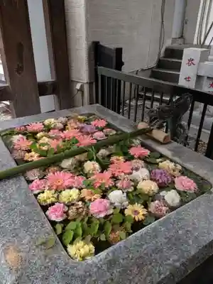 高円寺氷川神社(東京都)