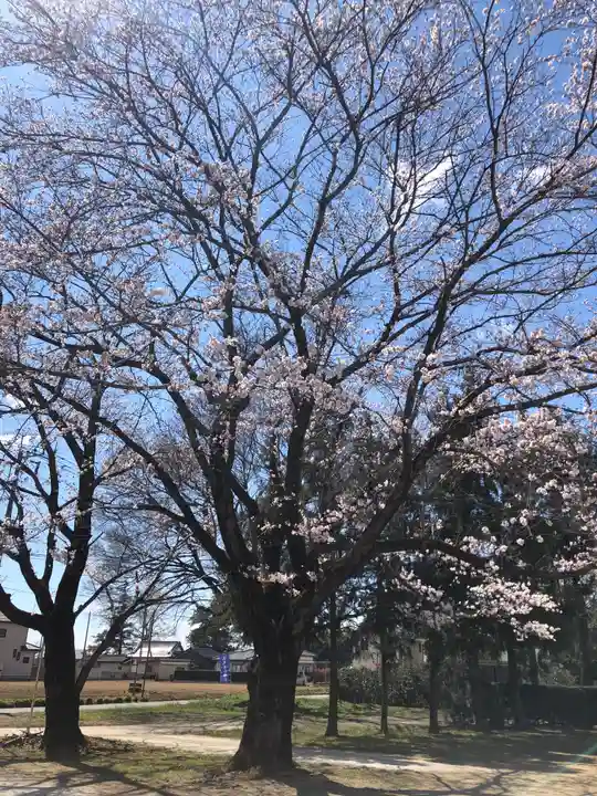 伏木香取神社の景色