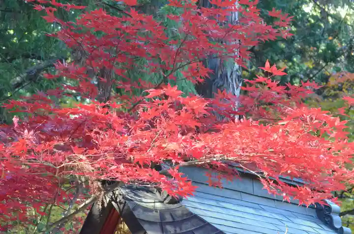 北口本宮冨士浅間神社(山梨県)