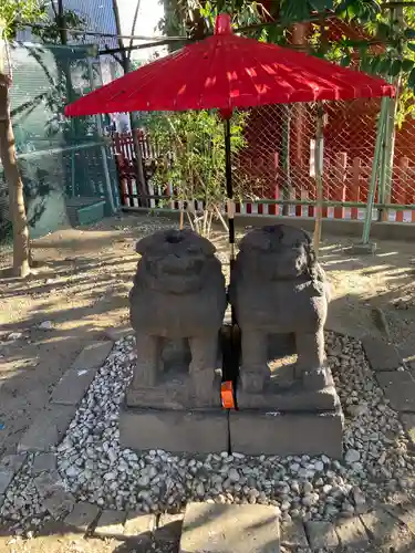 浅草神社の狛犬