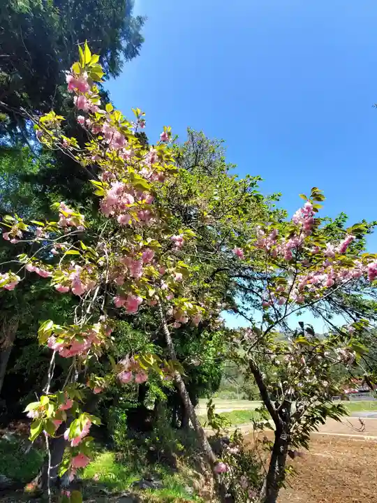 高司神社〜むすびの神の鎮まる社〜(福島県)
