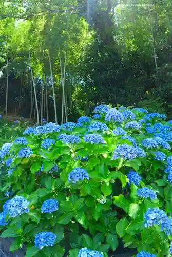 天台宗　長窪山　正覚寺(神奈川県)