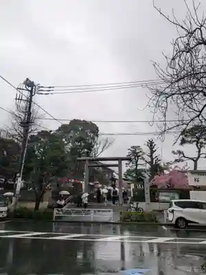 桜神宮(東京都)