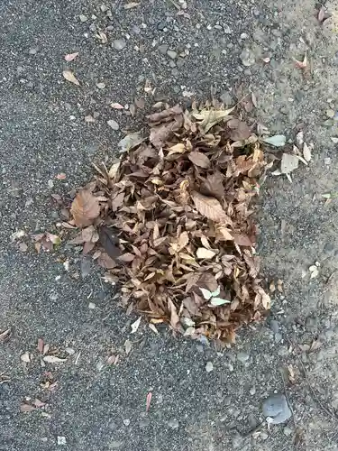 小野神社(東京都)