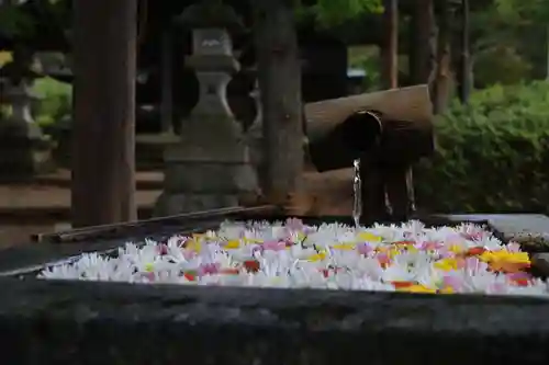  岳温泉神社 の手水