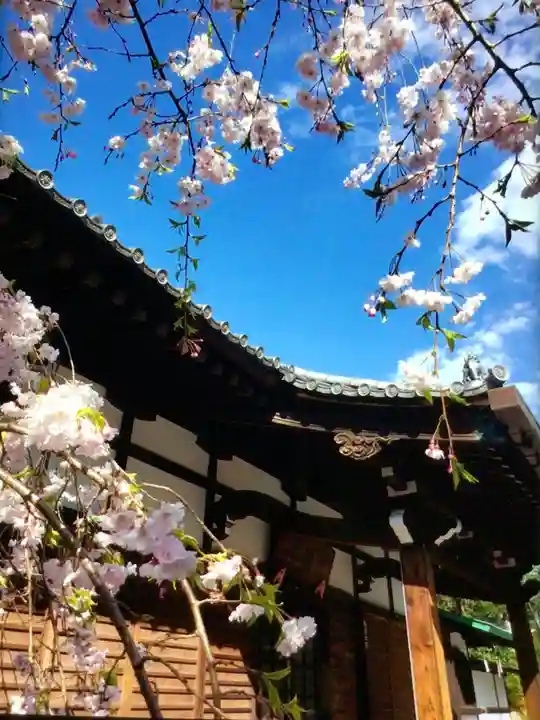 玄国寺(東京都)