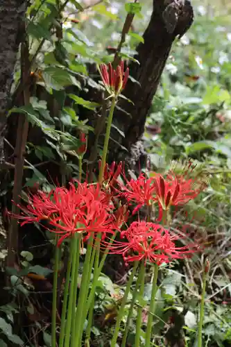 国宝 大法寺(長野県)