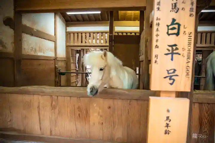 金刀比羅宮(香川県)