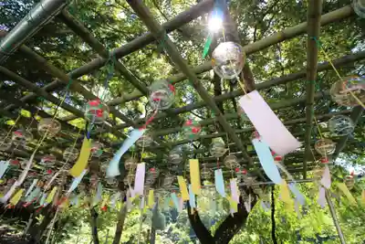 金櫻神社(山梨県)