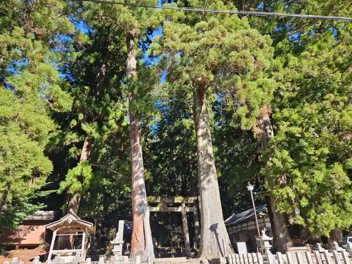 室生龍穴神社(奈良県)