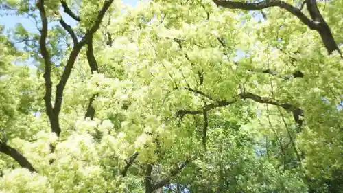 湊川神社(兵庫県)