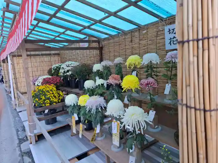 諏訪大社の御朱印