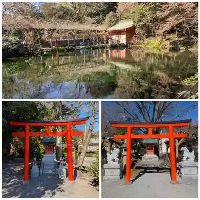 富士山本宮浅間大社(静岡県)